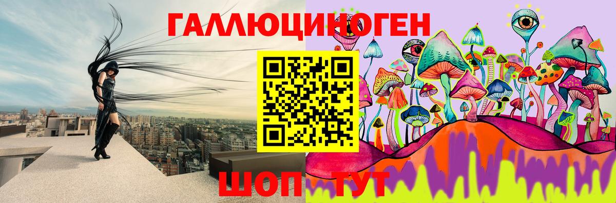Сланцы  Галлюциногенные грибы мицелий  Вход с VPN 